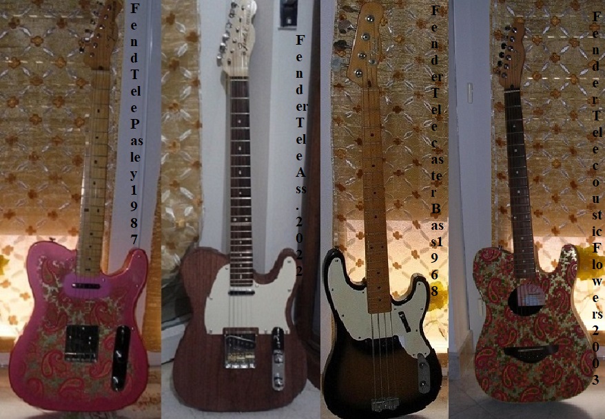 I miei due poker d'assi, Fender Stratocaster e Telecaster.