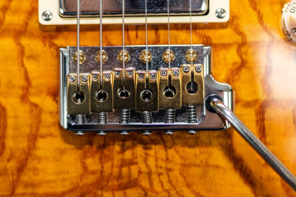 PRS SE Custom 24: la MIA chitarra