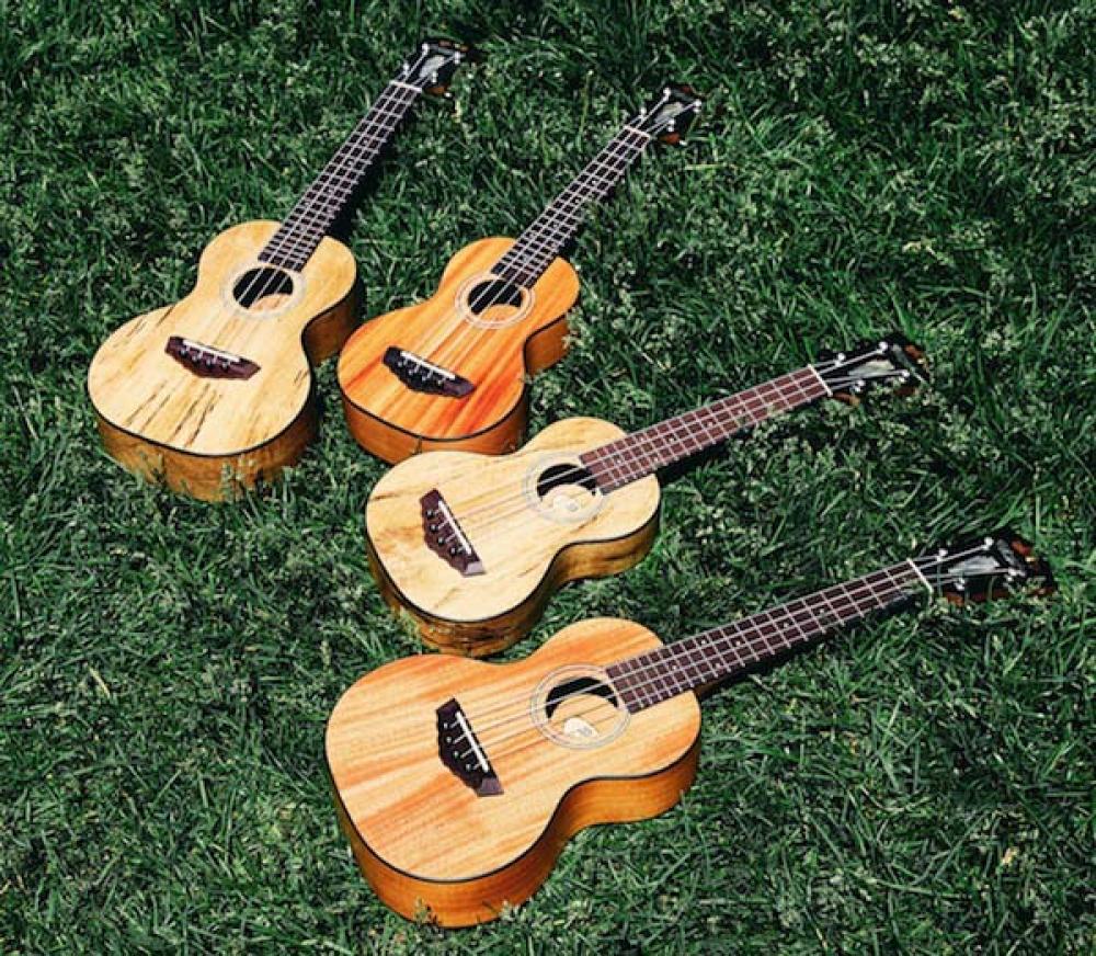 D'Angelico inaugura travel guitar e ukulele