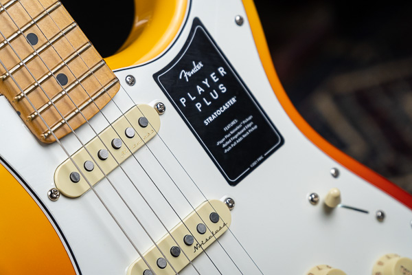 Dentro la Strat Fender Player Plus