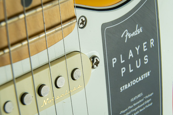 Dentro la Strat Fender Player Plus