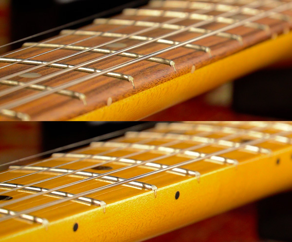 Fender Stratocaster Player Plus o Vintera: quale scegliere e perché