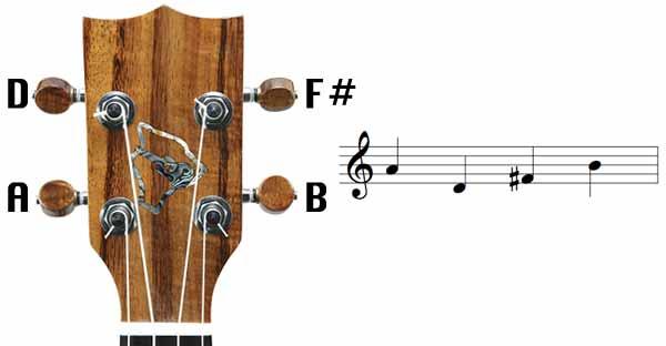 Scegliere e accordare l'ukulele