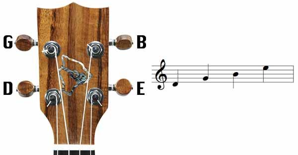 Scegliere e accordare l'ukulele