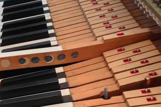 Scelta del pianoforte digitale per inesperti